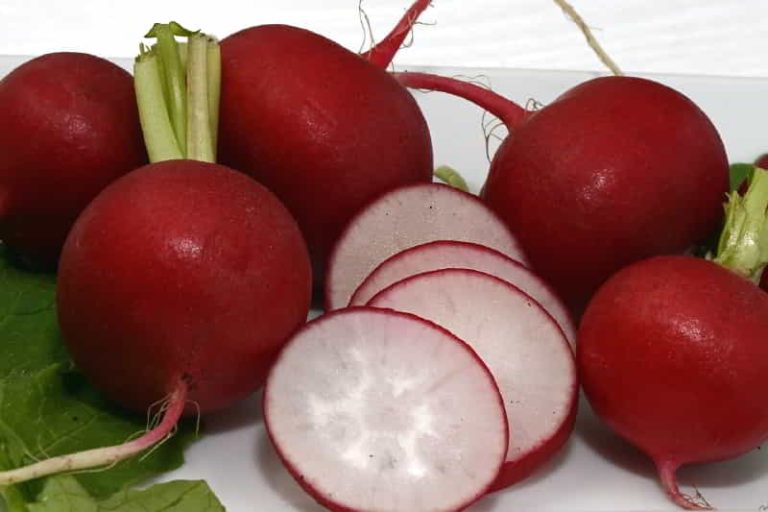 Turp nasıl ekilir ve hasar edilir
